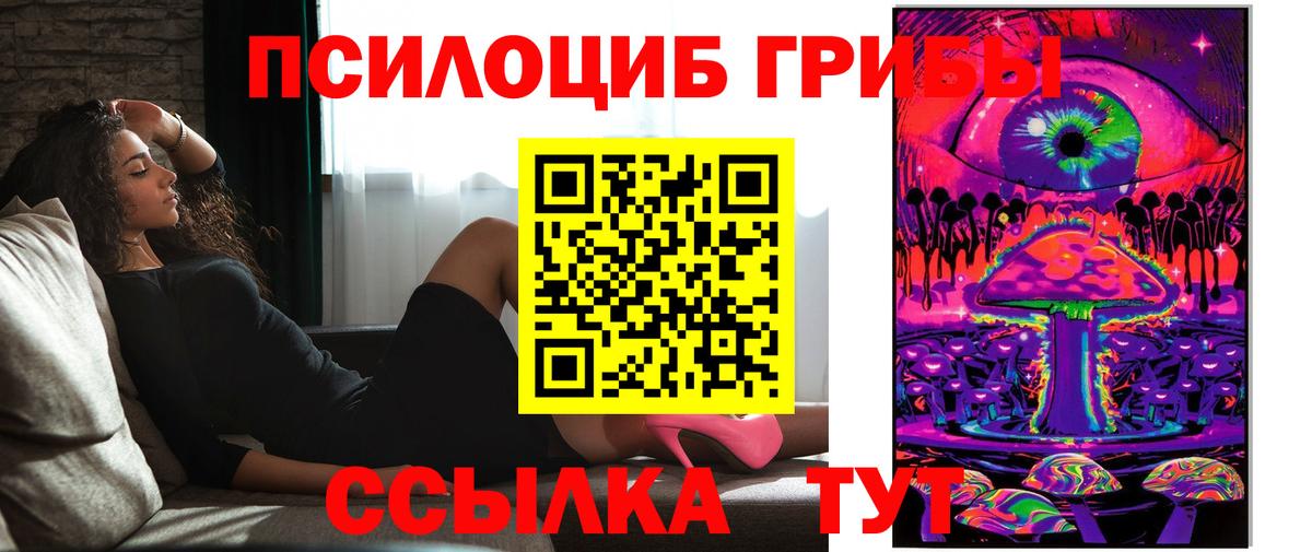 что такое   Псилоцибиновые грибы Cubensis  Ижевск  Вход с VPN  Псилоцибиновые грибы GOLDEN TEACHER 